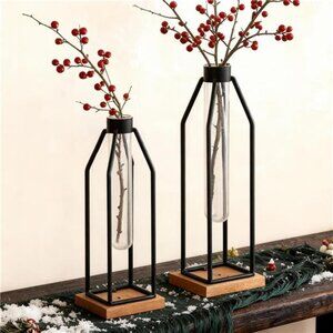 Wooden Vase Test Tube Set of 2, 11&12.5 Inch Flower Vases with Iron Stand